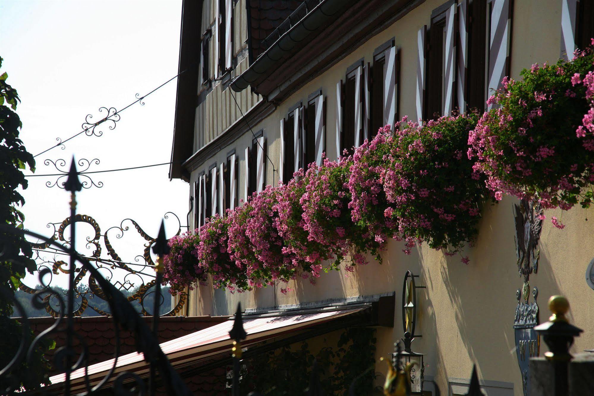 Hotel Brauereigasthof Landwehr-Braeu Reichelshofen Kültér fotó